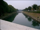 Argini del canale Camuzzoni (VR)